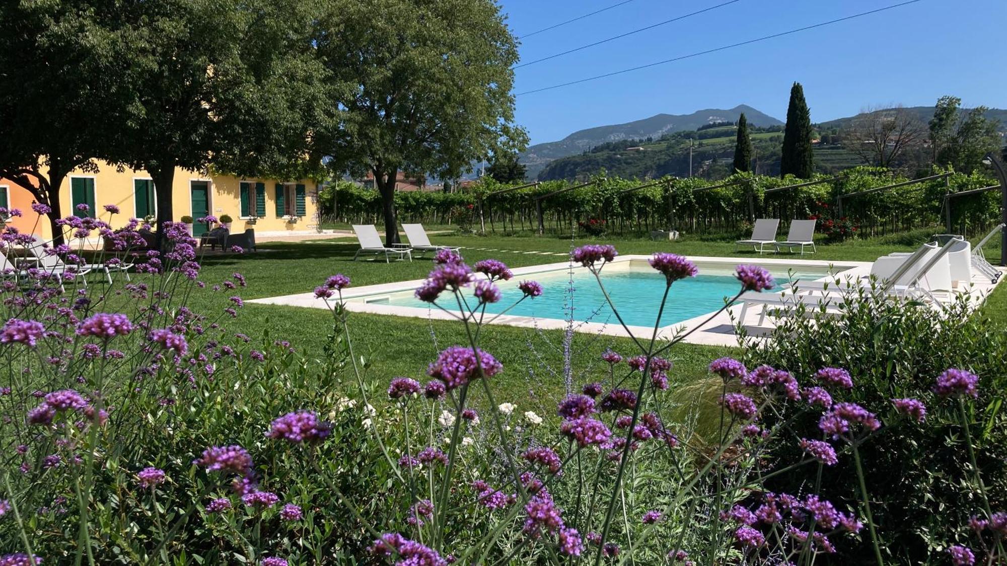 B&B Campagnon Valpolicella SantʼAmbrogio di Valpolicella Exterior foto