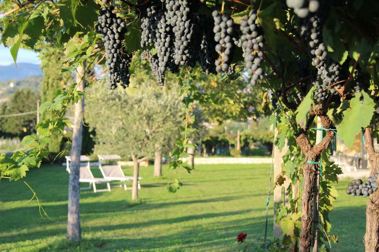 B&B Campagnon Valpolicella SantʼAmbrogio di Valpolicella Exterior foto
