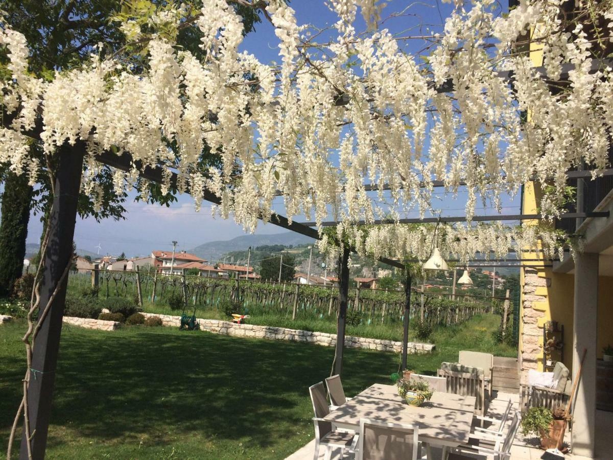 B&B Campagnon Valpolicella SantʼAmbrogio di Valpolicella Exterior foto